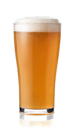 Club Tritan® Forever Beer 425ml